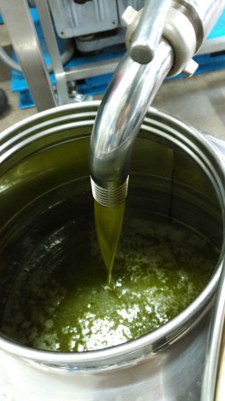 Lattina di olio extravergine di oliva da 2 litri